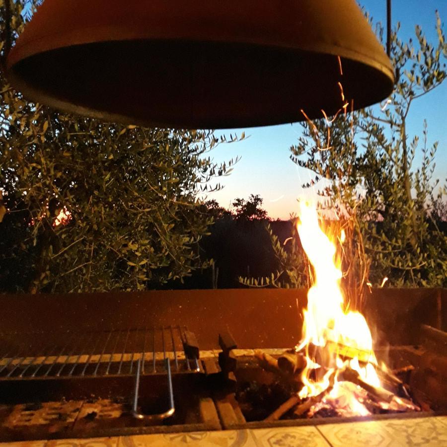 La Vigna Countrybnb Montottone מראה חיצוני תמונה